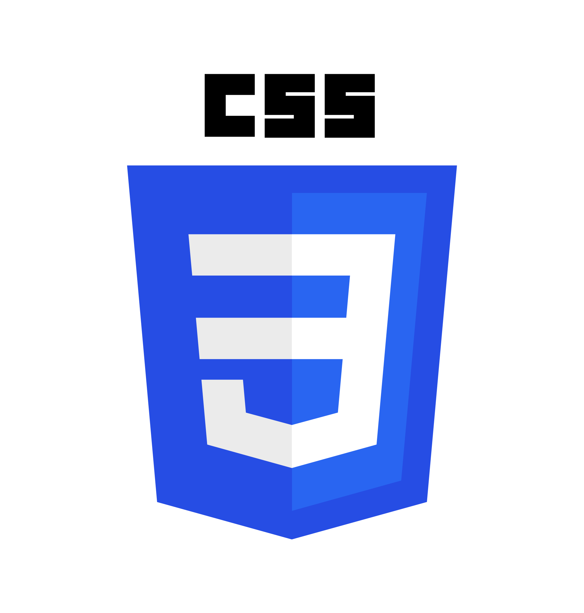CSS3 Logo